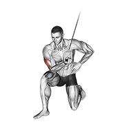 Cable Concentration Extension (On Knee) animated exercise demonstration