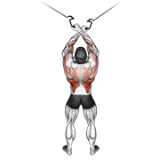 Cable Cross-Over Lateral Pulldown animated exercise demonstration