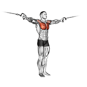 Cable Cross-Over Variation animated exercise demonstration
