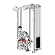 Cable Deadlift animated exercise demonstration