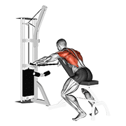 Cable Decline Seated Wide-Grip Row animated exercise demonstration
