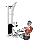 Cable Floor Seated Wide-Grip Row animated exercise demonstration