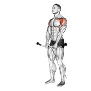 Cable Front Raise animated exercise demonstration