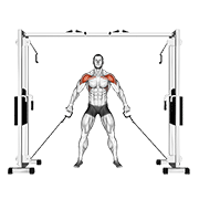 Cable Front Shoulder Raise animated exercise demonstration