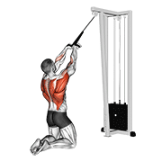 Cable High Row (Kneeling) animated exercise demonstration