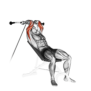 Cable Incline Triceps Extension animated exercise demonstration