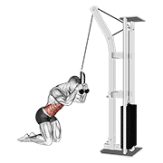 Kneeling cable crunch with rope beside the head, hips relatively fixed, ribs curling toward the pelvis, and controlled cable return