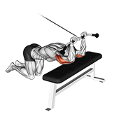 Cable Kneeling Triceps Extension animated exercise demonstration