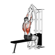Cable Lateral Pulldown (With Rope Attachment) animated exercise demonstration