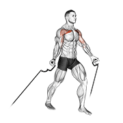 Cable Low Fly animated exercise demonstration
