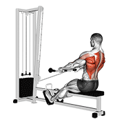 Cable Low Seated Row animated exercise demonstration