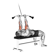 Cable Lying Close-Grip Curl animated exercise demonstration