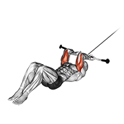 Cable Lying Triceps Extension V. 2 animated exercise demonstration