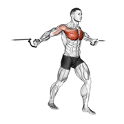 Cable Middle Fly animated exercise demonstration