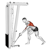 Cable One Arm Bent Over Row animated exercise demonstration