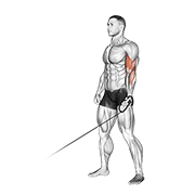 Bayesian Curl animated exercise demonstration