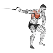 Cable One Arm Lateral Bent-Over animated exercise demonstration