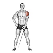Cable One Arm Lateral Raise animated exercise demonstration