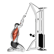 Cable One Arm Straight Back High Row (Kneeling) animated exercise demonstration