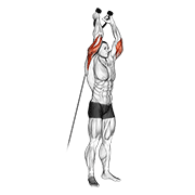 Cable Overhead Triceps Extension (Rope Attachment) animated exercise demonstration