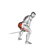 Cable Pull Through (With Rope) animated exercise demonstration