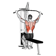Cable Pulldown (Pro Lat Bar) animated exercise demonstration
