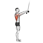 Cable Pushdown (Straight Arm) V. 2 animated exercise demonstration