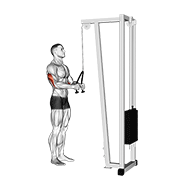 Rope pushdown demonstration on a high cable showing neutral grip, controlled elbows, and full elbow extension