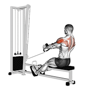 Cable Rear Delt Row (Stirrups) animated exercise demonstration