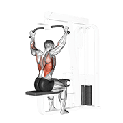 Cable Rear Pulldown animated exercise demonstration