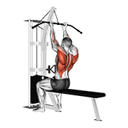Cable Reverse-Grip Straight Back Seated High Row animated exercise demonstration