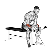 Cable Reverse Wrist Curl animated exercise demonstration