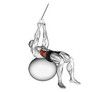Cable Russian Twists (On Stability Ball) animated exercise demonstration