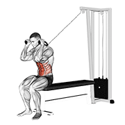 Cable Seated Crunch animated exercise demonstration