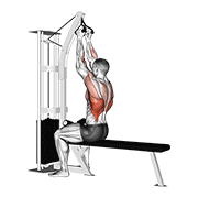 Cable Seated High Row (V-Bar) animated exercise demonstration