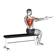 Cable Seated One Arm Alternate Row animated exercise demonstration