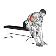 Cable Seated Rear Lateral Raise animated exercise demonstration