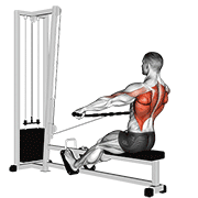 Cable Seated Wide-Grip Row animated exercise demonstration