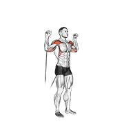 Cable Shoulder Press animated exercise demonstration