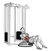 Cable Side Bend Crunch (Bosu Ball) animated exercise demonstration