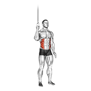 Cable Side Crunch animated exercise demonstration