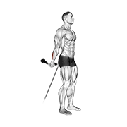 Cable Standing Back Wrist Curl animated exercise demonstration