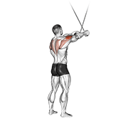 Cable Standing Cross-Over High Reverse Fly animated exercise demonstration