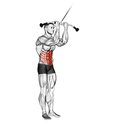 Cable Standing Crunch animated exercise demonstration