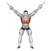 Cable Standing Fly animated exercise demonstration