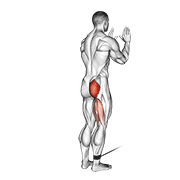 Cable Standing Hip Extension animated exercise demonstration
