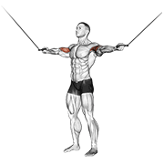 Cable Standing Inner Curl animated exercise demonstration
