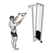 Cable Standing Pulldown (With Rope) animated exercise demonstration