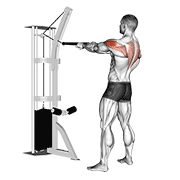 Cable Standing Rear Delt Row (With Rope) animated exercise demonstration