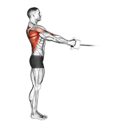 Cable Standing Row (V-Bar) animated exercise demonstration